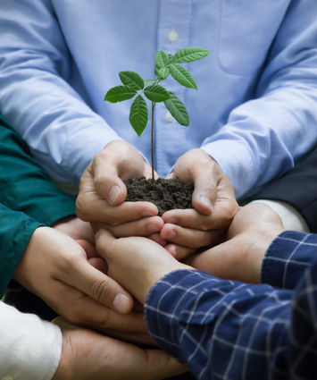 Collaboration for net-zero tree planting: Government, private sector, and public joining forces for environmentally conscious business.